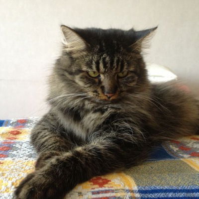 Илья Рощупкин