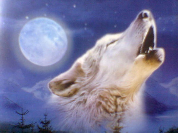 Валерий Поддубный