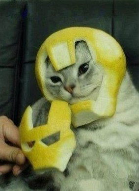 Алексей Михайлов