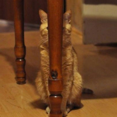 Жанна Аскарова