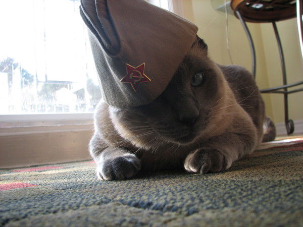 Людмила Сидорова