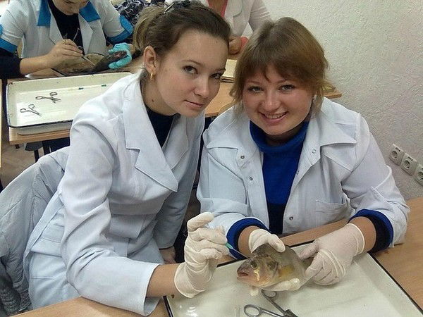 Наталия Сухарь