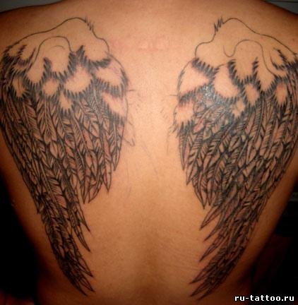 Дмитрий Соболь