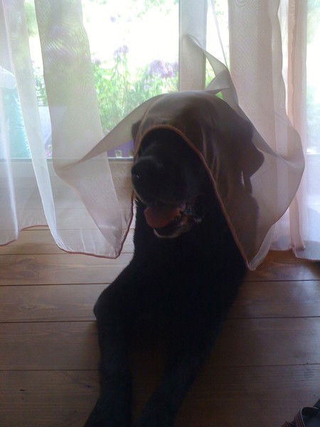 Рита Богданова