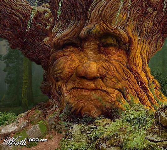 Ирина Попова