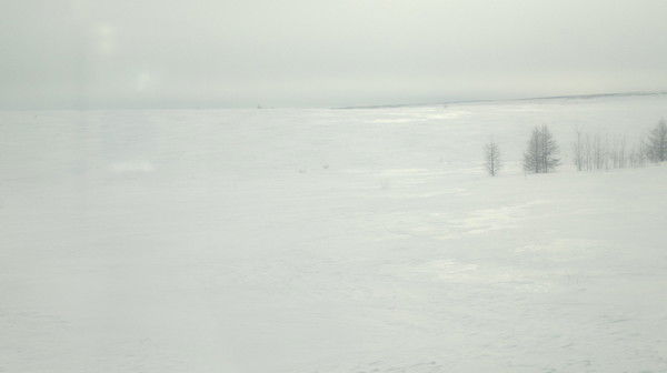 Джонни Бибиков