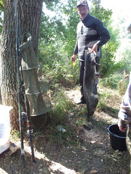 Андрей Шеститко