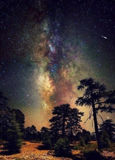 Надя Иванова