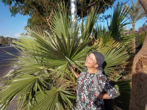 Аня Пьянкова