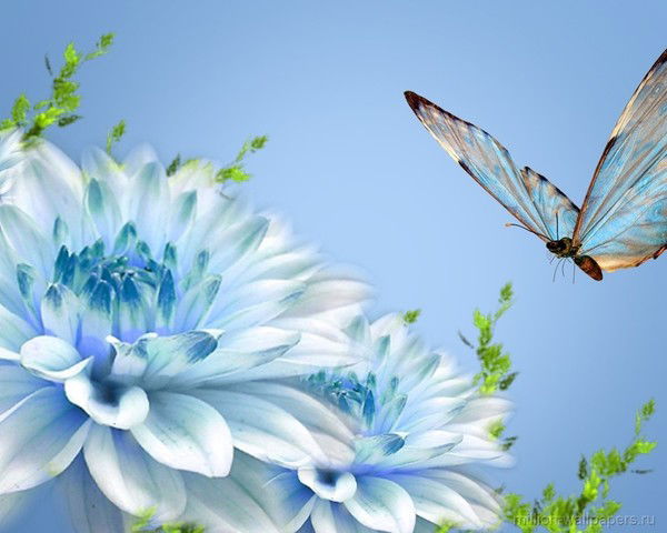 Наталья Свинар