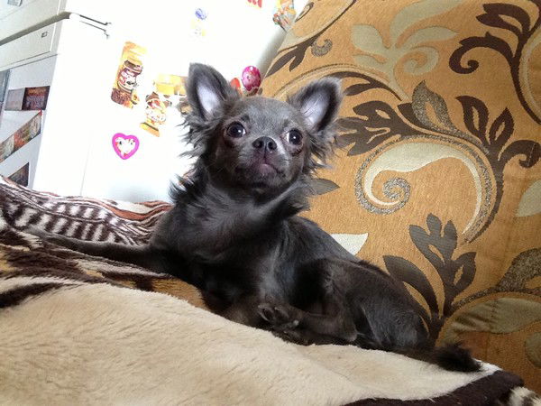 Евгения Москалёва