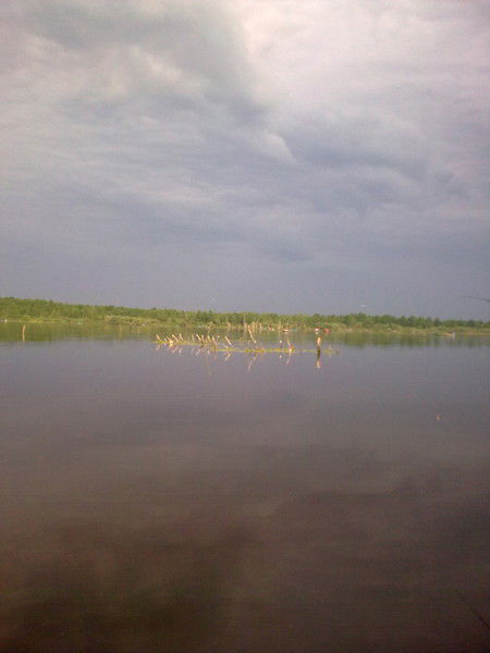 Алексей Борисов