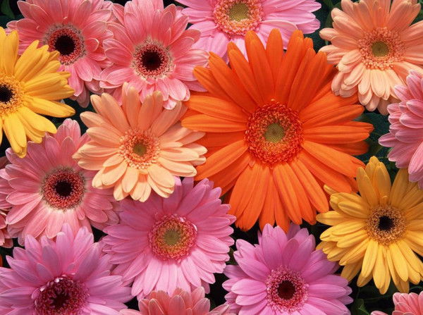 Татьяна Фирстова