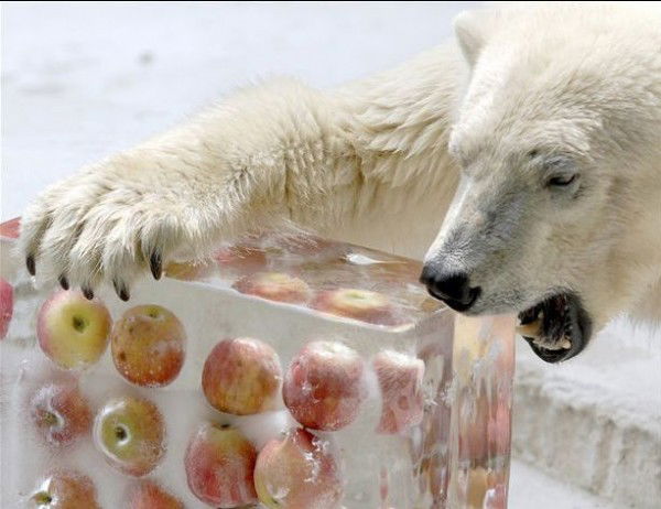 Ришат Ситдиков