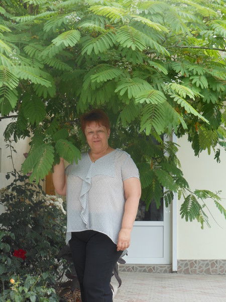 Елена Деменкова