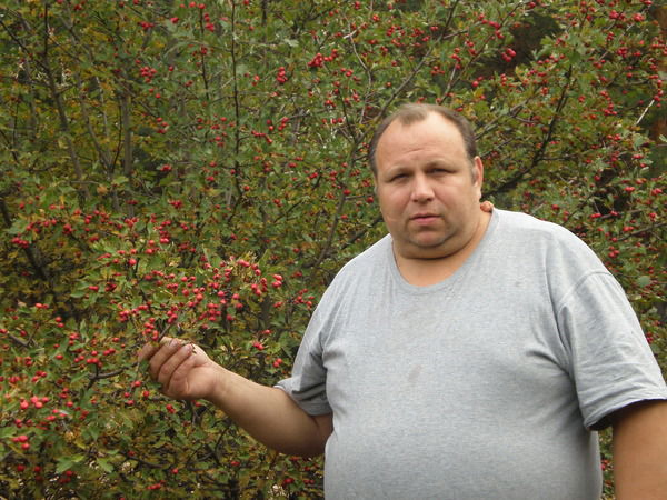 Андрей Алексеев