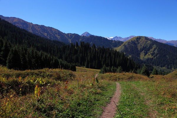 Иннусик *****