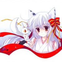 Лилия Белая