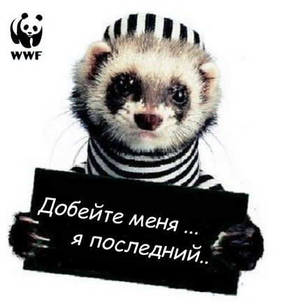 Иван Гайдуков