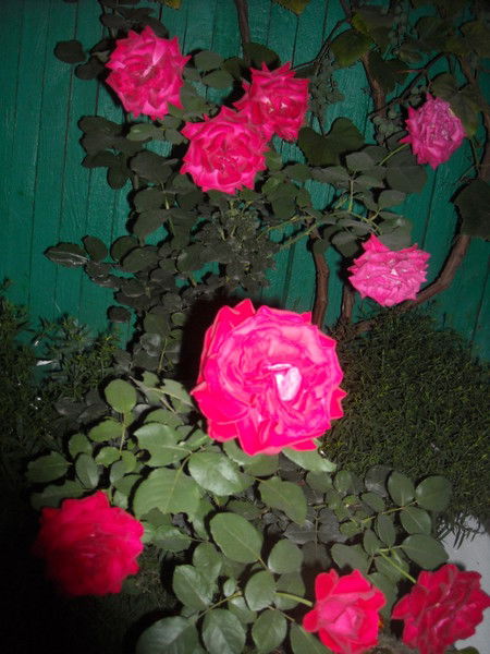 * Ангелочек