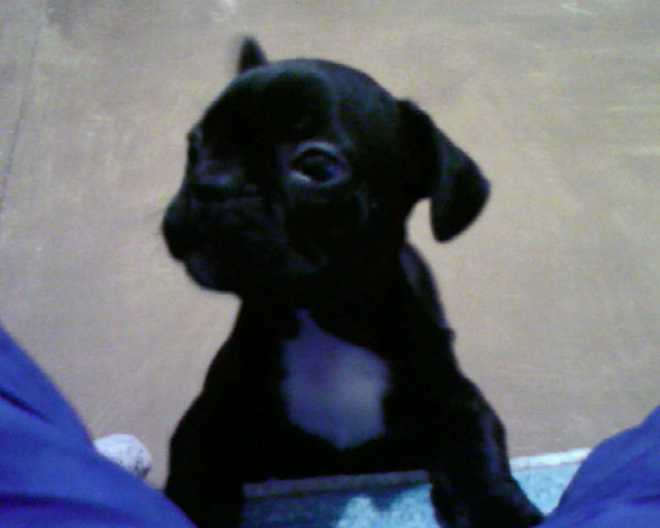 Анна Скипидарова