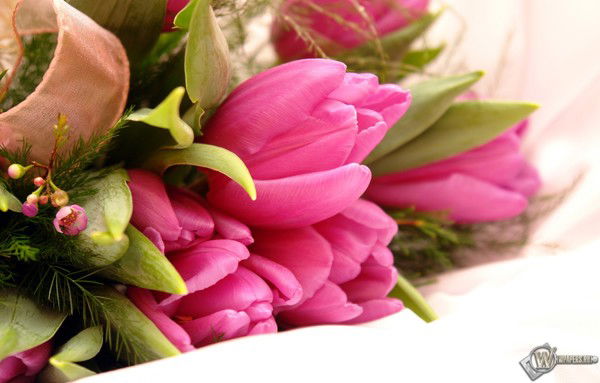 Татьяна Сергеева