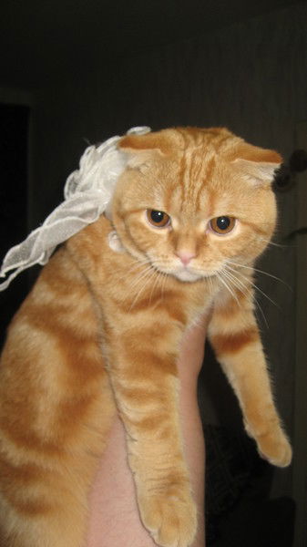 Марина Степанчук