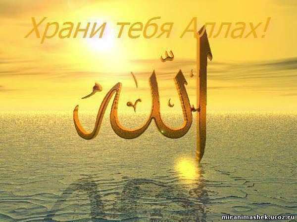 Алла Давыдова