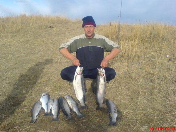 Александр Якунин