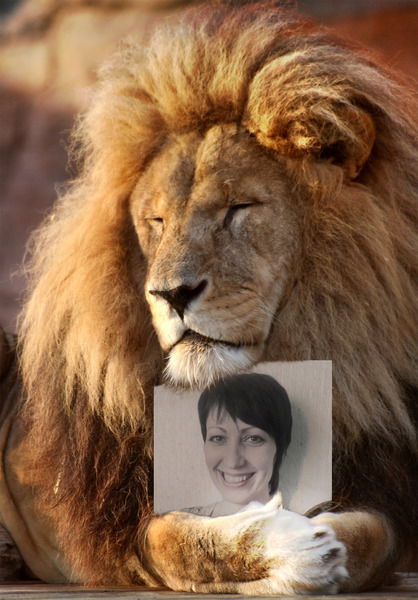 Светлана Курбатова