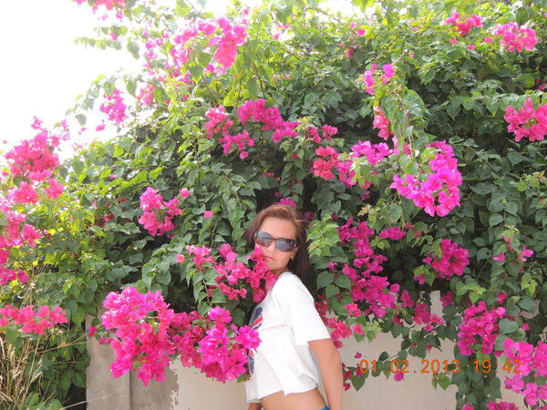 Анна Межевикина