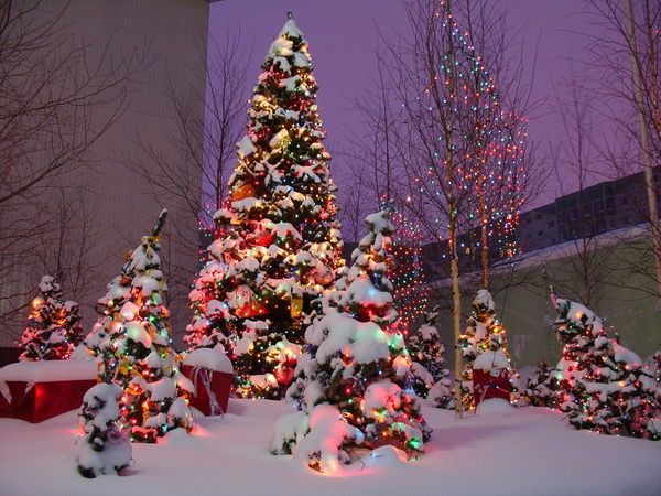 Петя. Наливан.