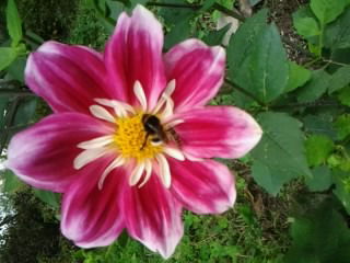 Ирина Забродина