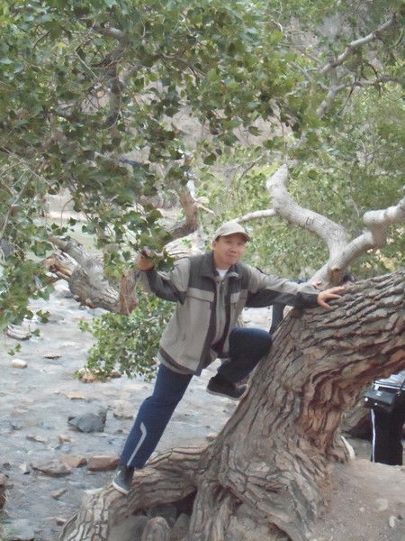 Слава Нигай