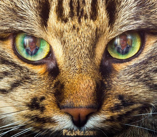 Алексей Кравчук