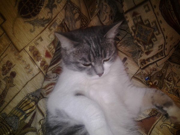 Рахат Садуакас