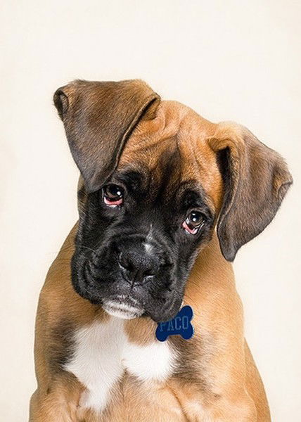 Ирина Усова (Пищевская)