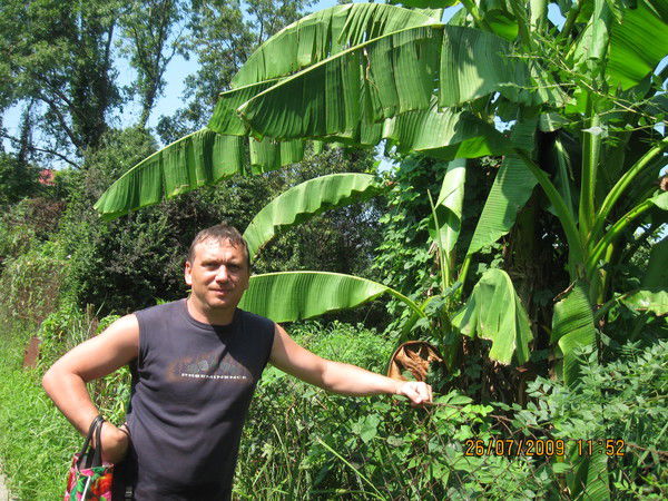 Алексей Слепеньков