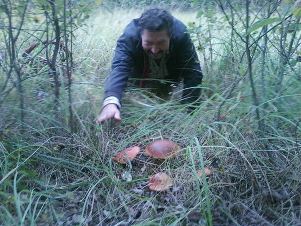 Андрей Егоров