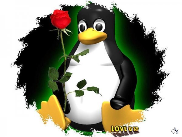 Лилия Шеколян