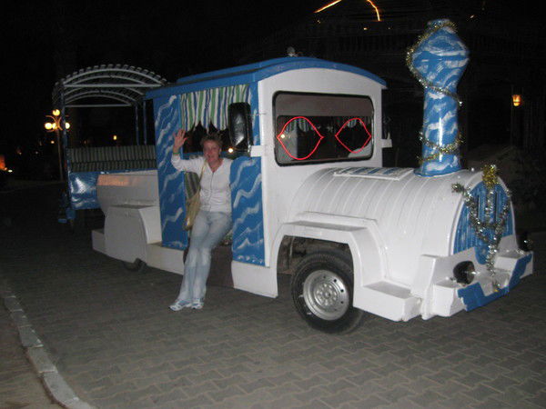 Елена Дутова (Рогулина)