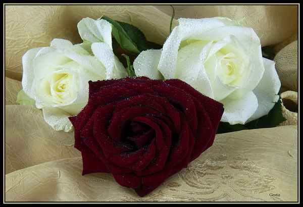 Сауле Кудайбергенова