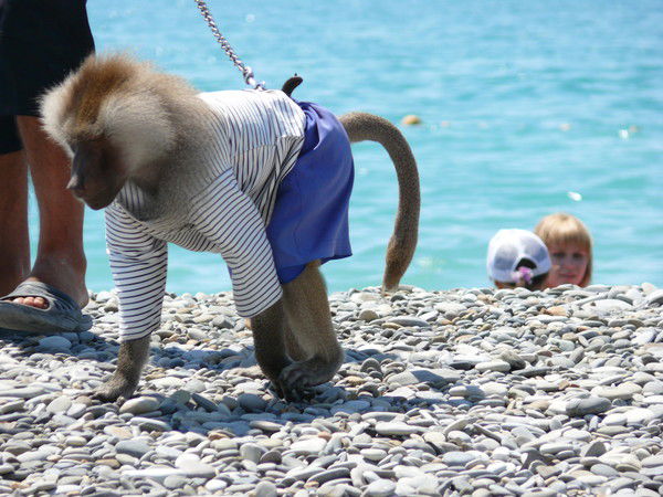 Вера Кобзарь