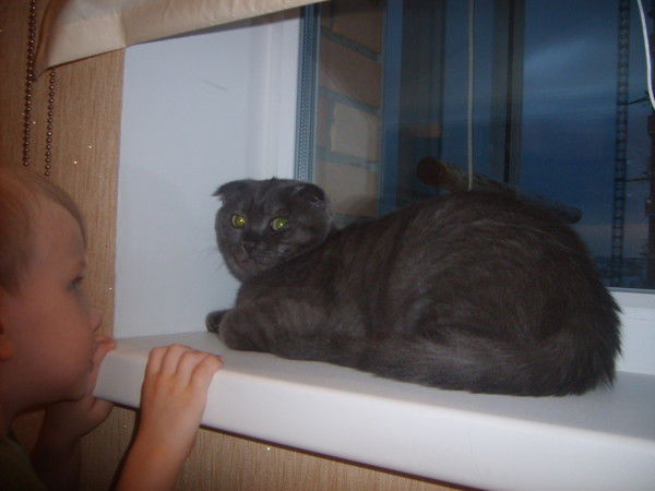 Оксана Морозова