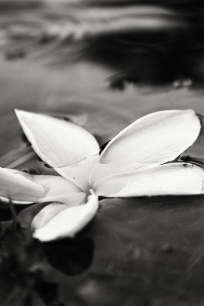 Татьяна Аскарова