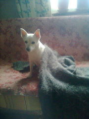 Татьяна Татьяна