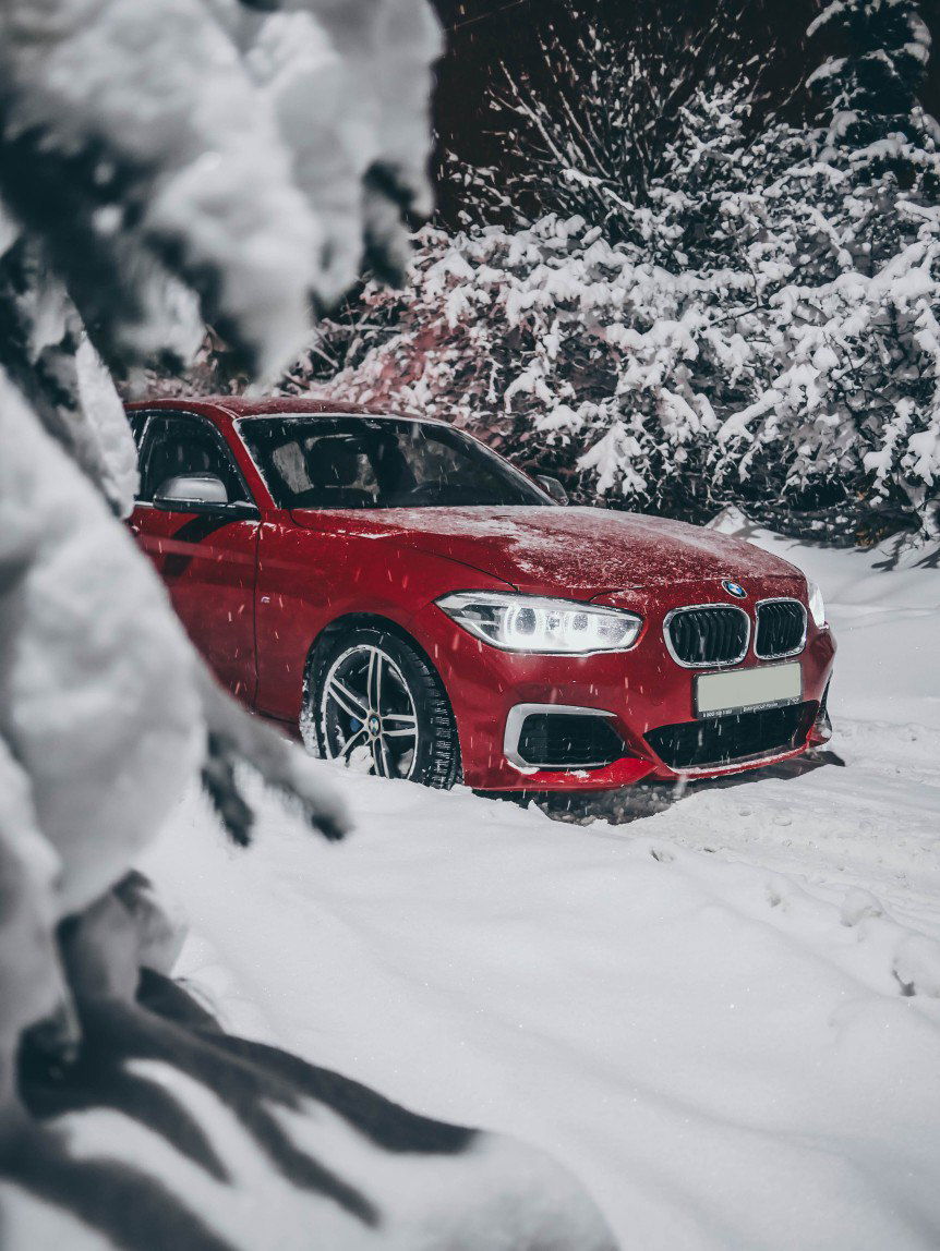 Елена Попова