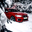 Елена Попова