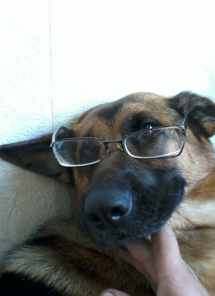 Василина Янученя