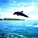 Герман Кришталь